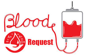 Portfolio Website Screenshot